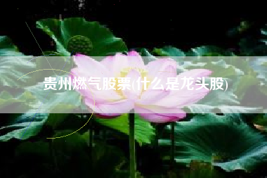贵州燃气股票(什么是龙头股)