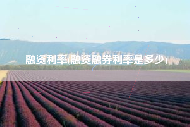 融资利率(融资融券利率是多少)