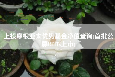 上投摩根亚太优势基金净值查询(首批公募REITs上市)