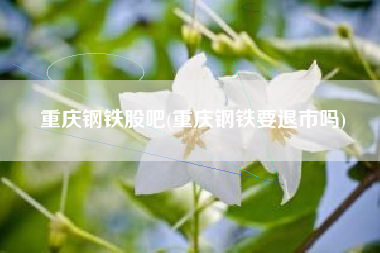 重庆钢铁股吧(重庆钢铁要退市吗)