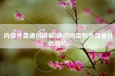 内盘外盘通俗讲解(请问内盘和外盘是什么意思)
