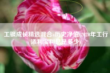 工银成长精选混合a历史净值(2020年工行添利宝利息是多少)