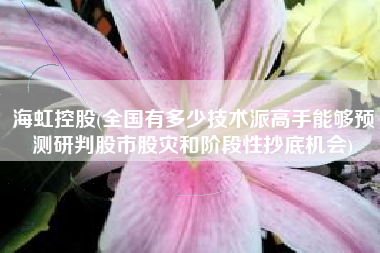 海虹控股(全国有多少技术派高手能够预测研判股市股灾和阶段性抄底机会)