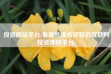 投资网站平台(有哪些排名较好的互联网投资理财平台)