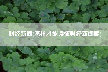 财经新闻(怎样才能读懂财经新闻呢)