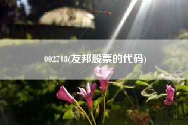 002718(友邦股票的代码)