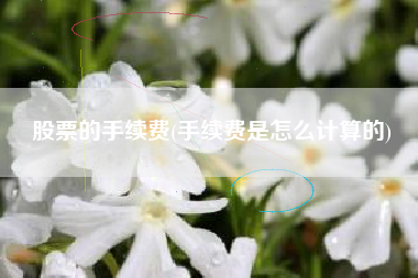 股票的手续费(手续费是怎么计算的)
