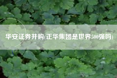 华安证券并购(正华集团是世界500强吗)