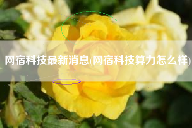 网宿科技最新消息(网宿科技算力怎么样)