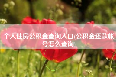 个人住房公积金查询入口(公积金还款帐号怎么查询)