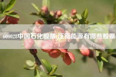 600028中国石化股票(泛新能源有哪些股票)