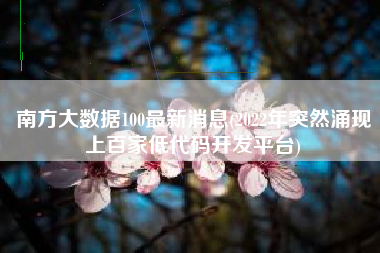 南方大数据100最新消息(2022年突然涌现上百家低代码开发平台)