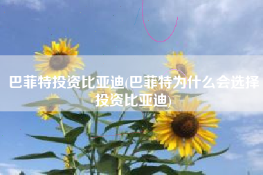巴菲特投资比亚迪(巴菲特为什么会选择投资比亚迪)