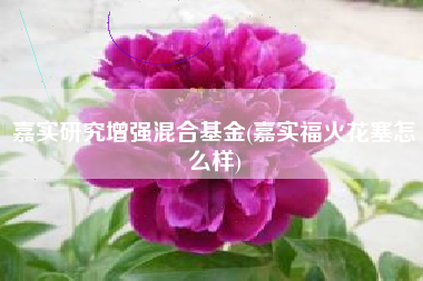 嘉实研究增强混合基金(嘉实福火花塞怎么样)