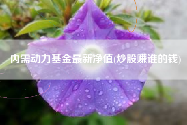 内需动力基金最新净值(炒股赚谁的钱)