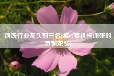 钢铁行业龙头前三名(被67家机构调研的特钢龙头)