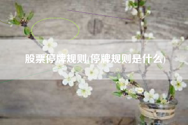 股票停牌规则(停牌规则是什么)