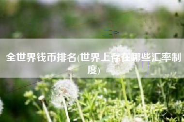 全世界钱币排名(世界上存在哪些汇率制度)