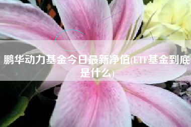 鹏华动力基金今日最新净值(ETF基金到底是什么)