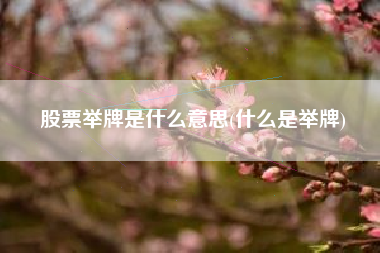 股票举牌是什么意思(什么是举牌)
