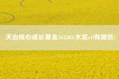 天治核心成长基金163503(水泥etf有哪些)