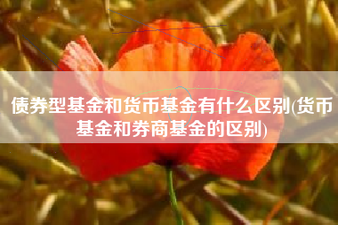 债券型基金和货币基金有什么区别(货币基金和券商基金的区别)