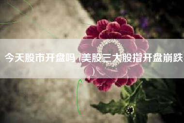 今天股市开盘吗 (美股三大股指开盘崩跌)