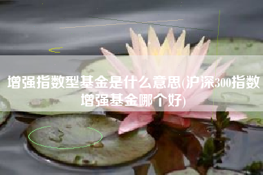 增强指数型基金是什么意思(沪深300指数增强基金哪个好)