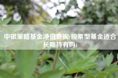 中银策略基金净值查询(股票型基金适合长期持有吗)