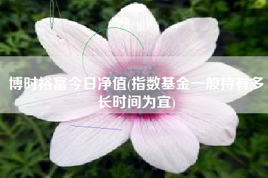博时裕富今日净值(指数基金一般持有多长时间为宜)
