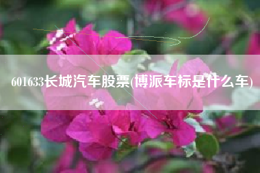 601633长城汽车股票(博派车标是什么车)
