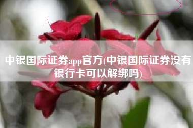 中银国际证券app官方(中银国际证券没有银行卡可以解绑吗)