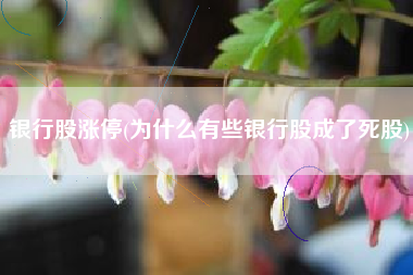 银行股涨停(为什么有些银行股成了死股)