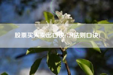 股票买入卖出口诀(721法则口诀)