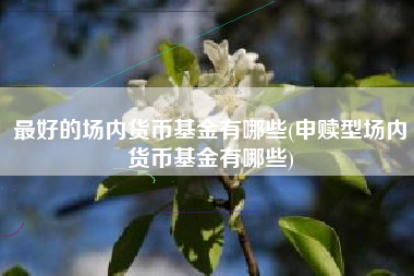 最好的场内货币基金有哪些(申赎型场内货币基金有哪些)