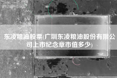 东凌粮油股票(广圳东凌粮油股份有限公司上市纪念章市值多少)