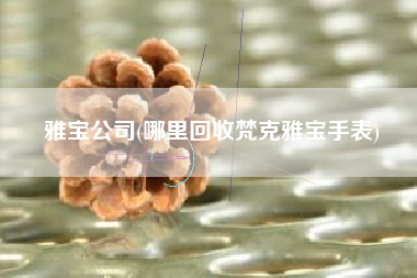 雅宝公司(哪里回收梵克雅宝手表)