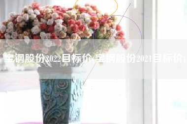 宝钢股份2022目标价(宝钢股份2021目标价)