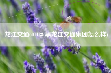 龙江交通601188(黑龙江交通集团怎么样)
