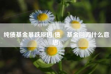 纯债基金暴跌原因(债劵基金回调什么意思)