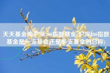 天天基金网沪深300指数基金(沪深300指数基金是一支基金还是多支基金的总称)
