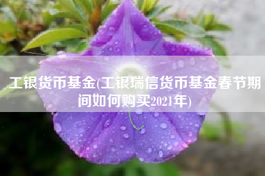 工银货币基金(工银瑞信货币基金春节期间如何购买2021年)