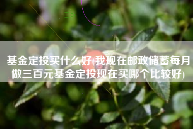 基金定投买什么好(我现在邮政储蓄每月做三百元基金定投现在买哪个比较好)