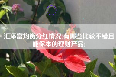 汇添富均衡分红情况(有哪些比较不错且能保本的理财产品)