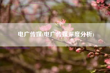 电广传媒(电广传媒深度分析)