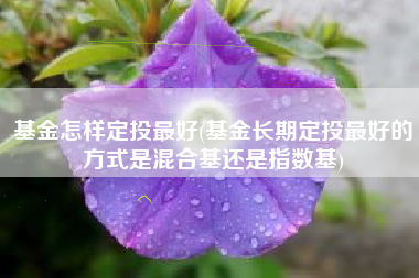 基金怎样定投最好(基金长期定投最好的方式是混合基还是指数基)