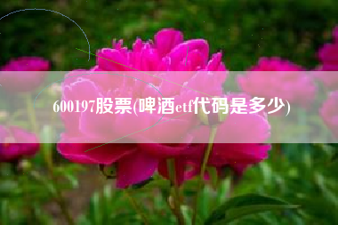 600197股票(啤酒etf代码是多少)