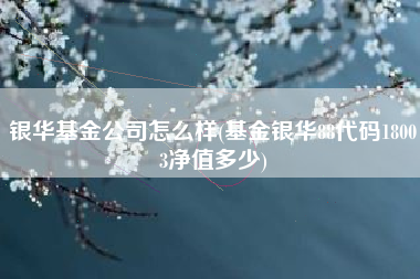 银华基金公司怎么样(基金银华88代码18003净值多少)