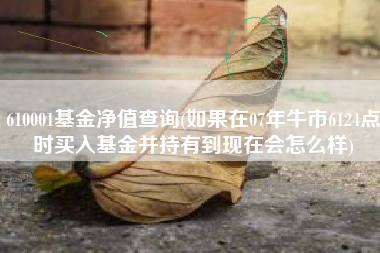 610001基金净值查询(如果在07年牛市6124点时买入基金并持有到现在会怎么样)