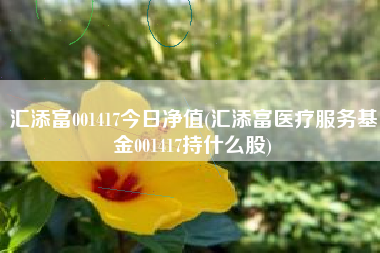 汇添富001417今日净值(汇添富医疗服务基金001417持什么股)
